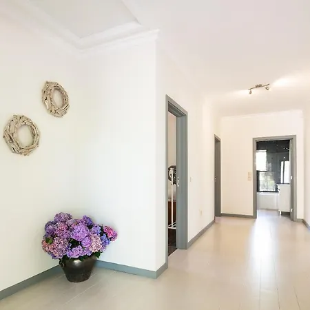 Villa Stunning 3-bed-2-bath Over Douro River;porto - Wifi-sleep 6-10